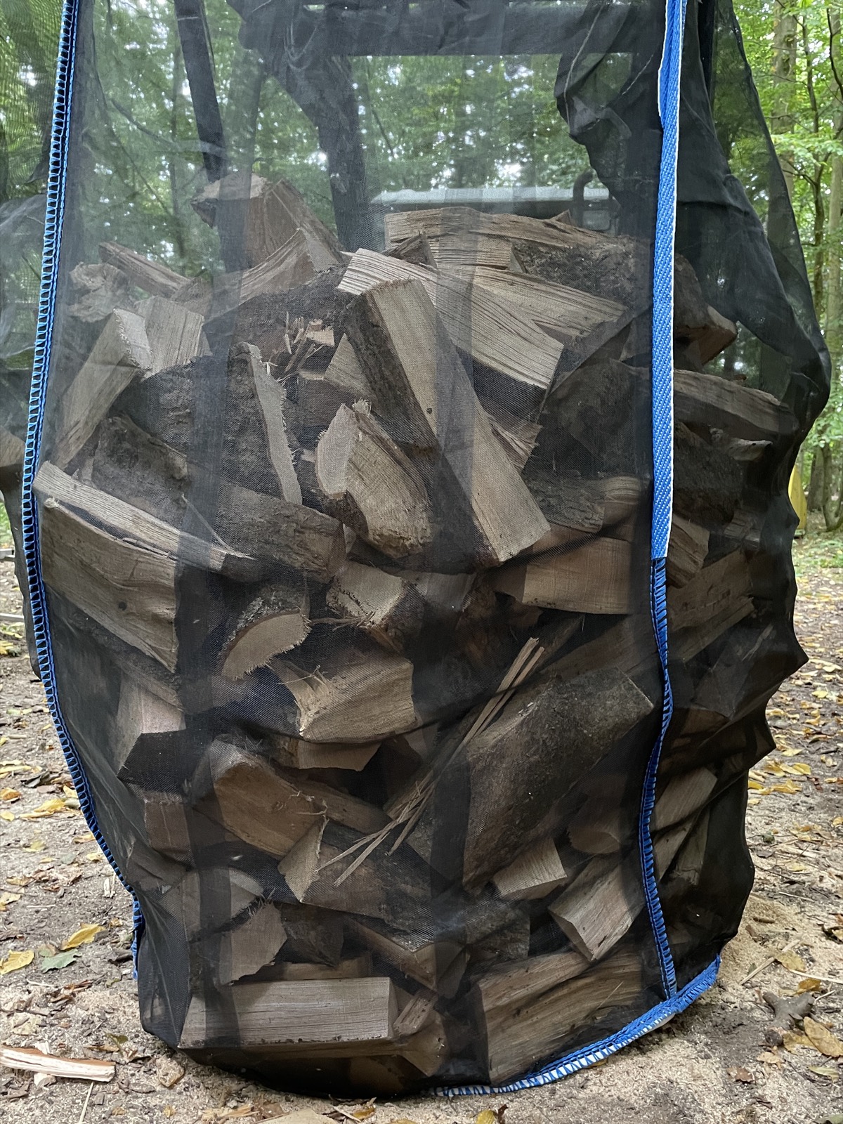 Einzelner durchsichtiger BigBag, gefüllt mit gespaltenem Brennholz